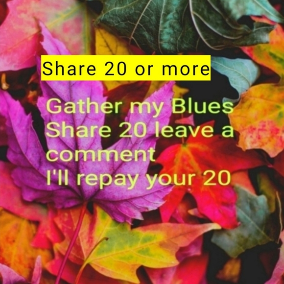 ✅️11/3. Share for Share - Picture 4 of 16